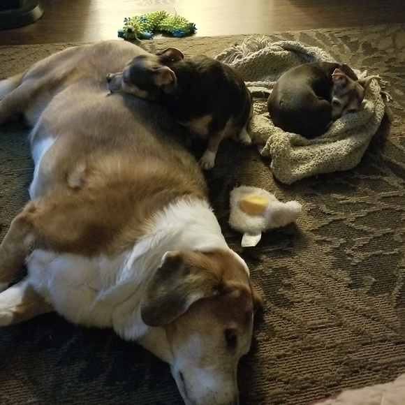 Meet your Posher, Jason - Picture 1 of 4